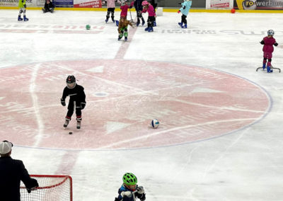 Der Eisdom