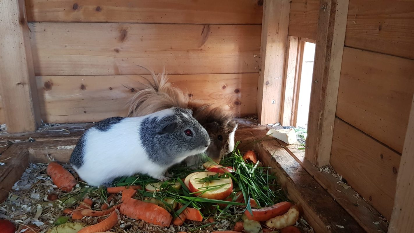 Wir verabschieden uns in die Osterferien